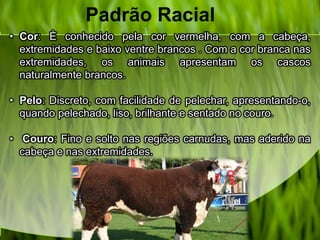 Padrão Racial
• Cor: È conhecido pela cor vermelha, com a cabeça,
extremidades e baixo ventre brancos . Com a cor branca nas
extremidades, os animais apresentam os cascos
naturalmente brancos.
• Pelo: Discreto, com facilidade de pelechar, apresentando-o,
quando pelechado, liso, brilhante e sentado no couro.
• Couro: Fino e solto nas regiões carnudas, mas aderido na
cabeça e nas extremidades.
 