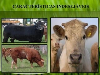 CARACTERÍSTICAS INDESEJÁVEIS
 