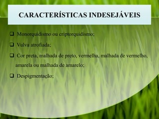 CARACTERÍSTICAS INDESEJÁVEIS
 Monorquidismo ou criptorquidismo;
 Vulva atrofiada;
 Cor preta, malhada de preto, vermelha, malhada de vermelho,
amarela ou malhada de amarelo;
 Despigmentação;
 