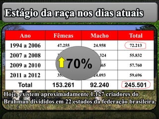 Hoje, existem aproximadamente 1.127 criadores do
Brahman divididos em 22 estados da federação brasileira.
Ano Fêmeas Macho Total
1994 a 2006 47.255 24.958 72.213
2007 a 2008 35.508 20. 324 55.832
2009 a 2010 34.895 22.865 57.760
2011 a 2012 35.603 24.093 59.696
Total 153.261 92.240 245.501
70%
 