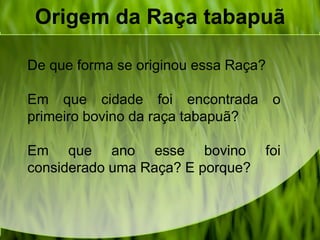 Origem da Raça tabapuã
De que forma se originou essa Raça?
Em que cidade foi encontrada o
primeiro bovino da raça tabapuã?
Em que ano esse bovino foi
considerado uma Raça? E porque?
 