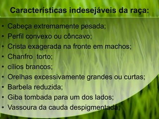 Características indesejáveis da raça:
• Cabeça extremamente pesada;
• Perfil convexo ou côncavo;
• Crista exagerada na fronte em machos;
• Chanfro torto;
• cílios brancos;
• Orelhas excessivamente grandes ou curtas;
• Barbela reduzida;
• Giba tombada para um dos lados;
• Vassoura da cauda despigmentada;
 