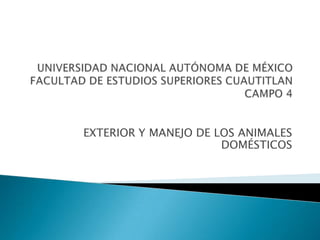 UNIVERSIDAD NACIONAL AUTÓNOMA DE MÉXICOFACULTAD DE ESTUDIOS SUPERIORES CUAUTITLANCAMPO 4 EXTERIOR Y MANEJO DE LOS ANIMALES DOMÉSTICOS 