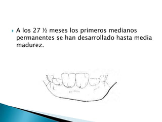 G. Lobo: pelaje gris con extremos del pelo negro en algunas regiones del cuerpo y extremidades (articulaciones).PELAJES
