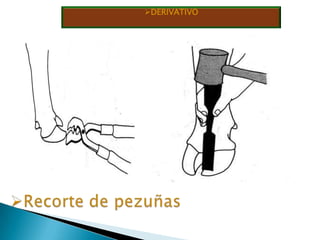 Químicos: son aquellos en los que nos apoyamos en la aplicación de drogas tranquilizantes o anestésicos Los métodos físicos, son los mas comunes de usar, y podemos establecer una clasificación también dentro de los mismos: 