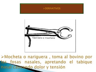 Derivativos o cruentos: son aquellos en los que utilizamos instrumental especifico, que causa dolor, y el animal se queda inmovilizado para no sufrir mas dolor (mordazas, aciales, anillos, Nariceras)    Simples 