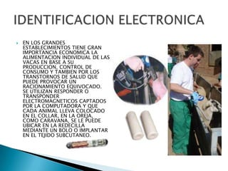 EN TODAS LAS ACTIVIDADES ZOOTECNICAS Y CLINICAS SU APLICACIÓN SE EXTIENDE A LOS LIBROS GENEALOGICOS Y DE COMPROBACION DE RENDIMIENTO, CONTROLES DE ASOCIACIONES PECUARIAS, COOPERATIVAS, EN CONCURSOS, EXPOSICIONES Y EXHIBICIONES.