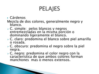 IDENTIFICACIONNATURALFOTOGRAFIA:Es sin duda un valioso medio de identificacion ya que permite una observacion rapida y clara de los detalles.