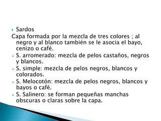 MANCHAS DEL MANTO PILOSOMIENTRAS QUE EN LOS BOVINOS DE UN SOLO COLOR ESTE ESTA DEFINIDO POR EL ESTANDAR DE LA RAZA EN LOS OVERO NEGROS, OVERO COLORADOS Y FLECKVIEH DEBEN APORTARSE MAS DATOS COMO TAMAÑO, LOCALIZACION Y FORMA DE LAS MANCHAS PARA ASEGURAR LA IDENTIFICACION DEL ANIMAL.