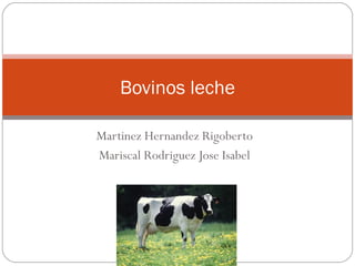 Bovinos leche

Martinez Hernandez Rigoberto
Mariscal Rodriguez Jose Isabel
 
