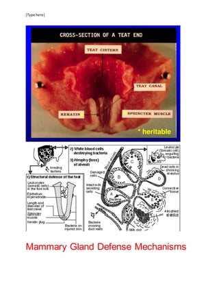 [Type here]
Mammary Gland Defense Mechanisms
 