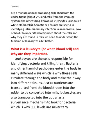 [Type here]
are a mixture of milk-producing cells shed from the
udder tissue (about 2%) and cells from the immune
system (the other 98%), known as leukocytes (also called
white blood cells). Somatic cell counts are useful in
identifying intra-mammary infection in an individual cow
or herd. To understand a bit more about the cells and
why they are found in milk we need to understand the
function of leukocytes a bit better.
What is a leukocyte (or white blood cell) and
why are they important?
Leukocytes are the cells responsible for
identifying bacteria and killing them. Bacteria
and other harmful pathogens enter the body in
many different ways which is why these cells
circulate through the body and make their way
into different tissues. Just as nutrients are
transported from the bloodstream into the
udder to be converted into milk, leukocytes are
also transported into the udder as a
surveillance mechanism to look for bacteria
which is why SCC levels are never zero.
 