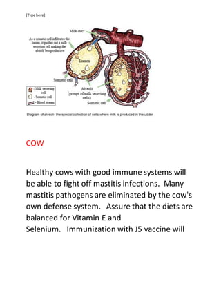 [Type here]
COW
Healthy cows with good immune systems will
be able to fight off mastitis infections. Many
mastitis pathogens are eliminated by the cow's
own defense system. Assure that the diets are
balanced for Vitamin E and
Selenium. Immunization with J5 vaccine will
 