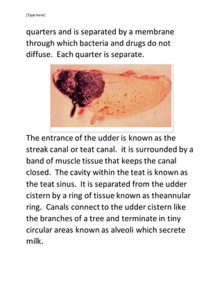 [Type here]
quarters and is separated by a membrane
through which bacteria and drugs do not
diffuse. Each quarter is separate.
The entrance of the udder is known as the
streak canal or teat canal. it is surrounded by a
band of muscle tissue that keeps the canal
closed. The cavity within the teat is known as
the teat sinus. It is separated from the udder
cistern by a ring of tissue known as theannular
ring. Canals connect to the udder cistern like
the branches of a tree and terminate in tiny
circular areas known as alveoli which secrete
milk.
 