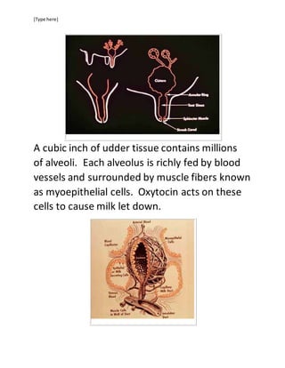 [Type here]
A cubic inch of udder tissue contains millions
of alveoli. Each alveolus is richly fed by blood
vessels and surrounded by muscle fibers known
as myoepithelial cells. Oxytocin acts on these
cells to cause milk let down.
 