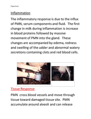 [Type here]
Inflammation
The inflammatory response is due to the influx
of PMN, serum components and fluid. The first
change in milk during inflammation is increase
in blood proteins followed by massive
movement of PMN into the gland. These
changes are accompanied by edema, redness
and swelling of the udder and abnormal watery
secretions containing clots and red blood cells.
Tissue Response
PMN cross blood vessels and move through
tissue toward damaged tissue site. PMN
accumulate around alveoli and can release
 