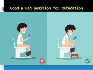 Defecation Position Bowel and Anorectal dysfunction-By Merub | PPTX