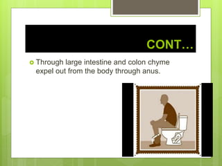CONT…
 Through large intestine and colon chyme
expel out from the body through anus.
 