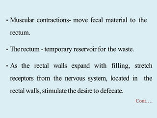 • Muscular contractions- move fecal material to the
rectum.
• Therectum -temporary reservoir for the waste.
• As the rectal walls expand with filling, stretch
receptors from the nervous system, located in the
rectalwalls,stimulatethe desireto defecate.
Cont….
 