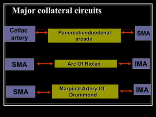 Major collateral circuits

Pancreaticoduodenal
arcade
Celiac
artery
SMA
Arc Of Riolan
SMA
Marginal Artery Of
Drummond
IMA
IMA
SMA
 