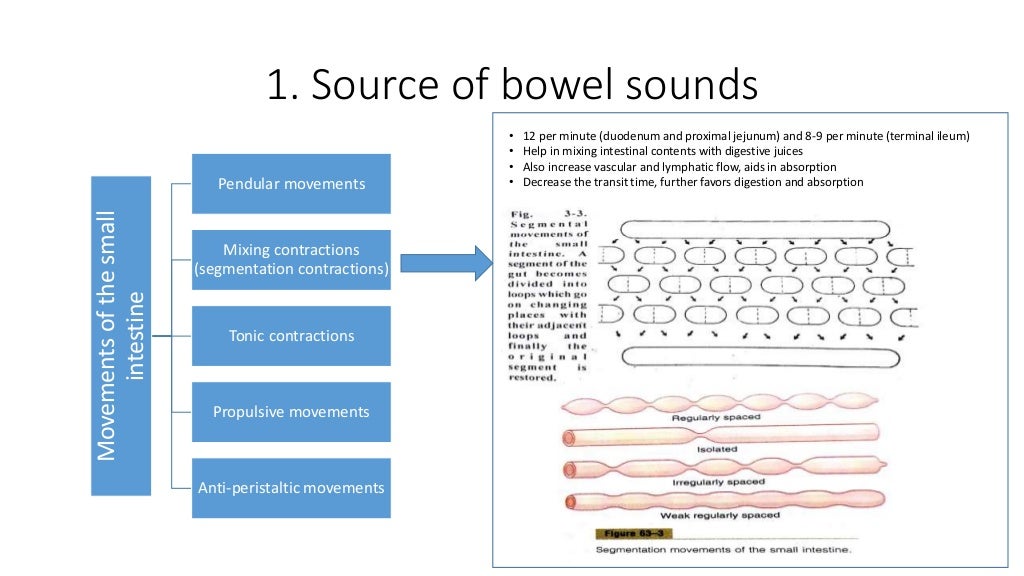 Bowel sounds