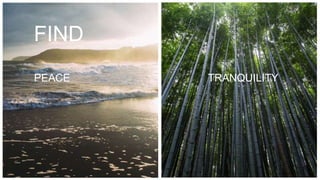 PEACE TRANQUILITY
FIND
 