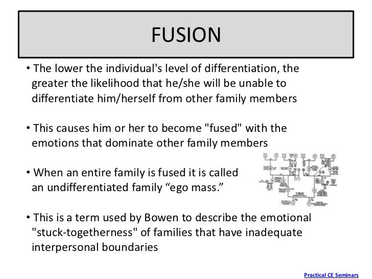 the bowenian approach to family therapy essay Read this essay on the family counseling approach research paper come browse our large digital warehouse of free sample essays get the knowledge you need in order to pass your classes and more only at termpaperwarehousecom. the bowenian approach to family therapy essay Read this essay on the family counseling approach research paper come browse our large digital warehouse of free sample essays get the knowledge you need in order to pass your classes and more only at termpaperwarehousecom.