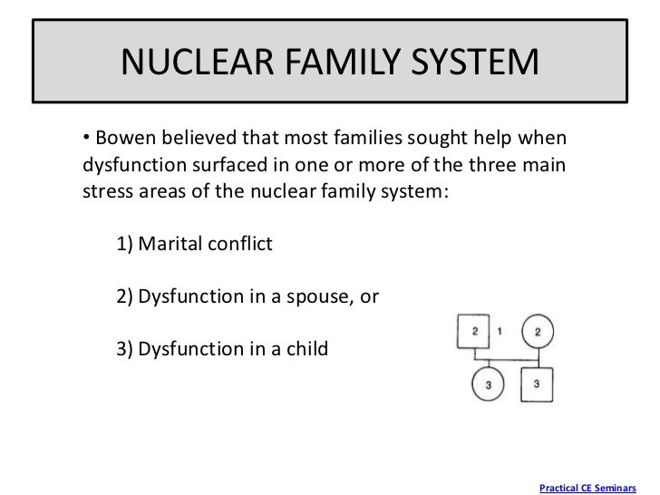 family systems theory essays