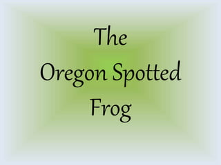 The
Oregon Spotted
Frog
 