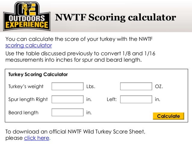 what is a good turkey score