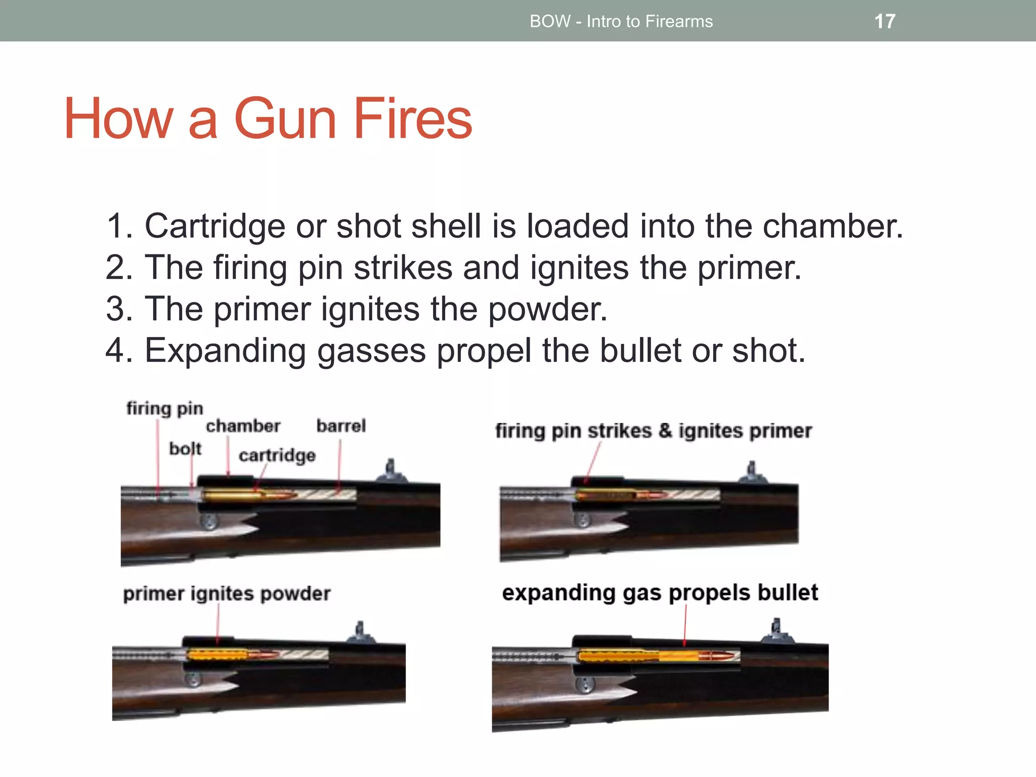 How a Gun Fires
BOW - Intro to Firearms 17
1. Cartridge or shot shell is loaded into the chamber.
2. The firing pin strikes and ignites the primer.
3. The primer ignites the powder.
4. Expanding gasses propel the bullet or shot.
 