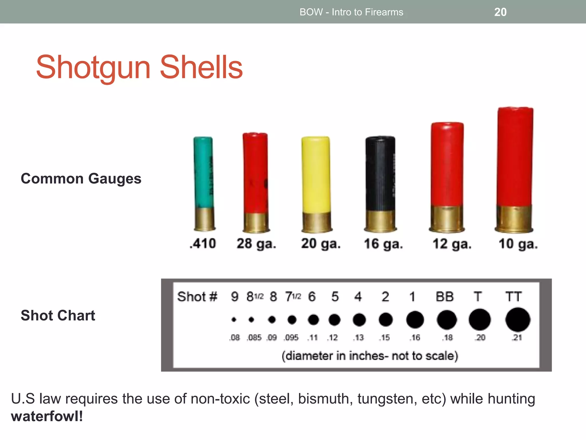 Shotgun Shells
BOW - Intro to Firearms 20
U.S law requires the use of non-toxic (steel, bismuth, tungsten, etc) while hunting
waterfowl!
Common Gauges
Shot Chart
 