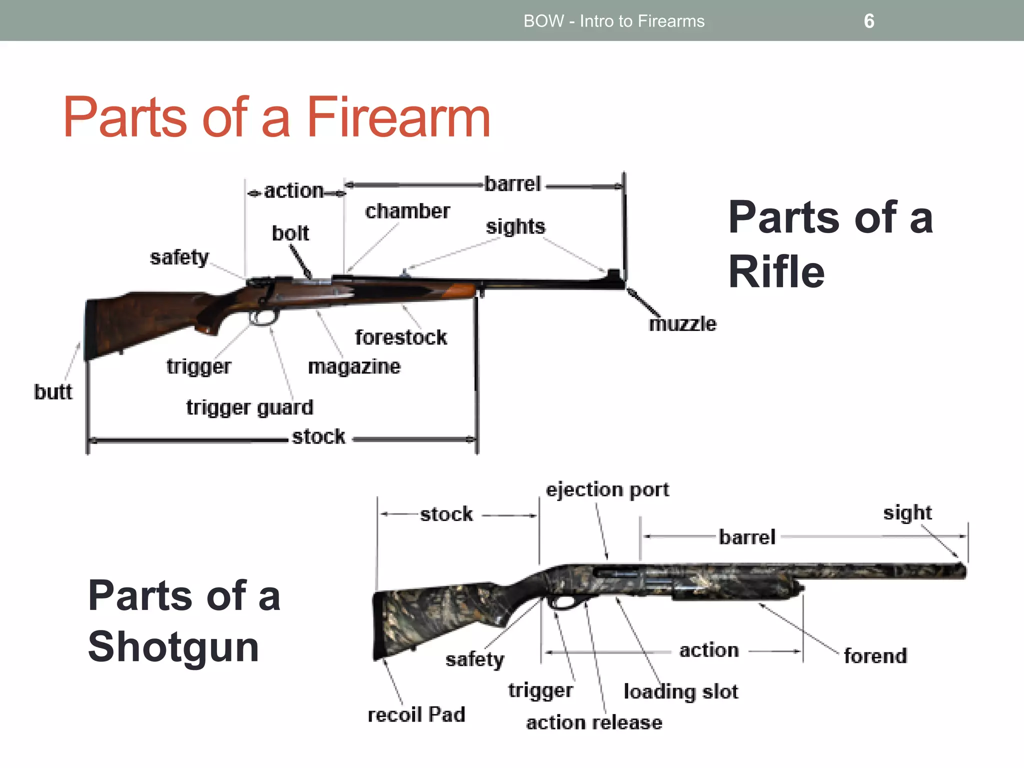 Parts of a Firearm
BOW - Intro to Firearms 6
Parts of a
Rifle
Parts of a
Shotgun
 