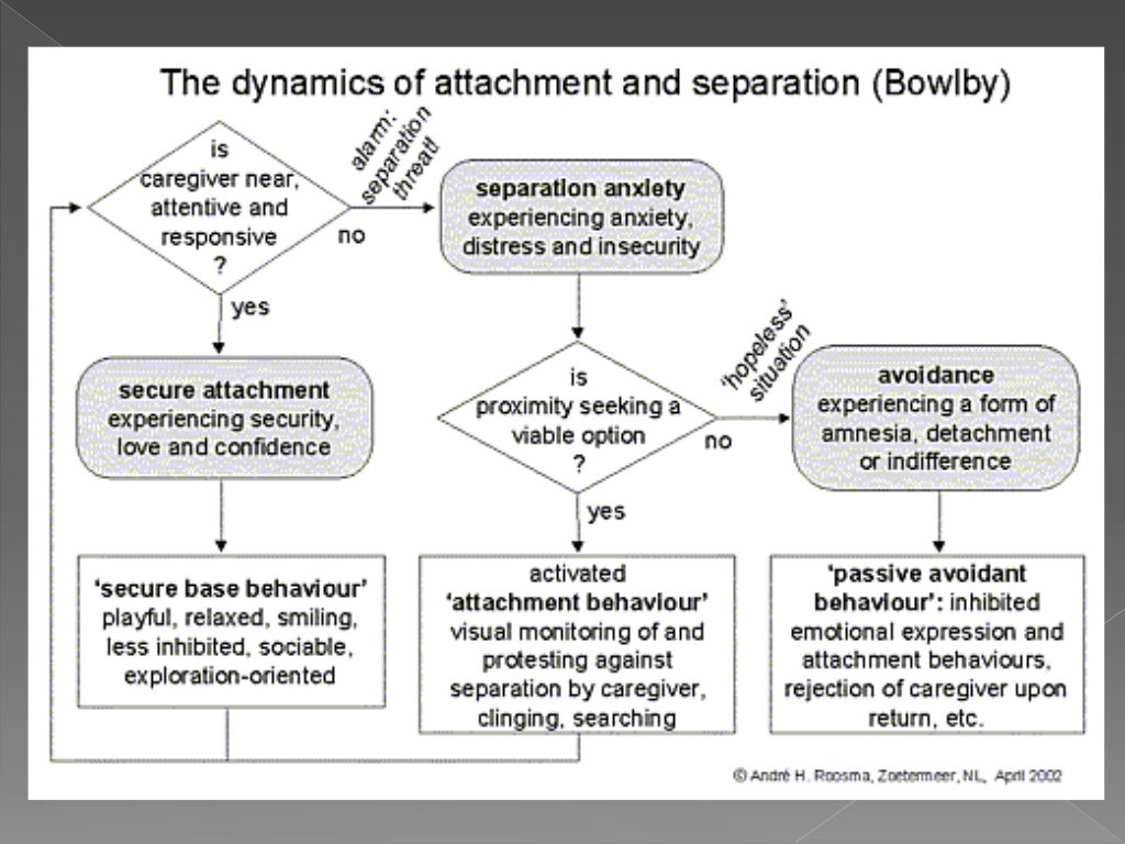 Bowlby s Attachment Theory