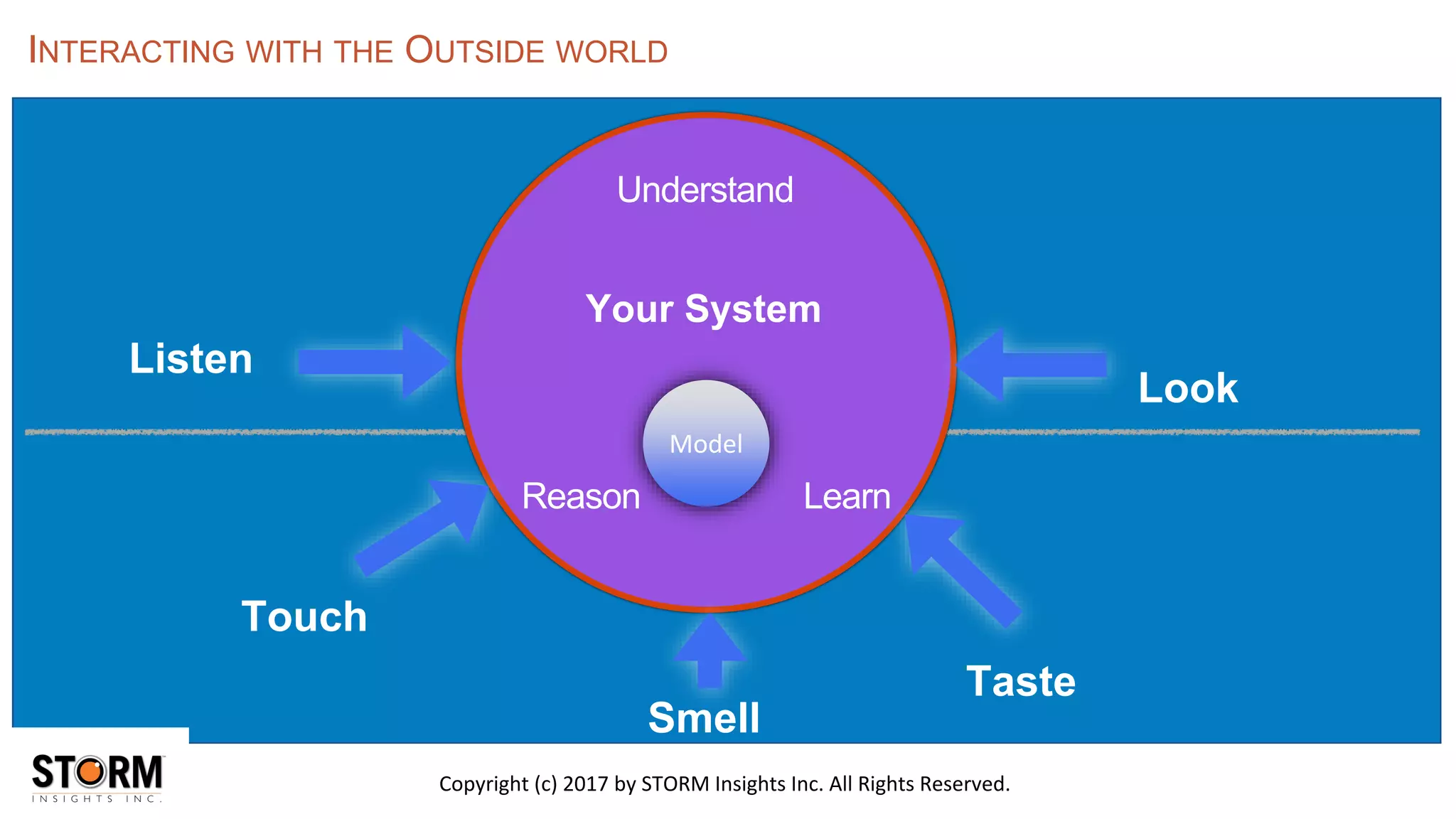 Copyright (c) 2017 by STORM Insights Inc. All Rights Reserved.
Listen
Look
Touch
Smell
Taste
Your System
Learn
Model
Reason
Understand
INTERACTING WITH THE OUTSIDE WORLD
 