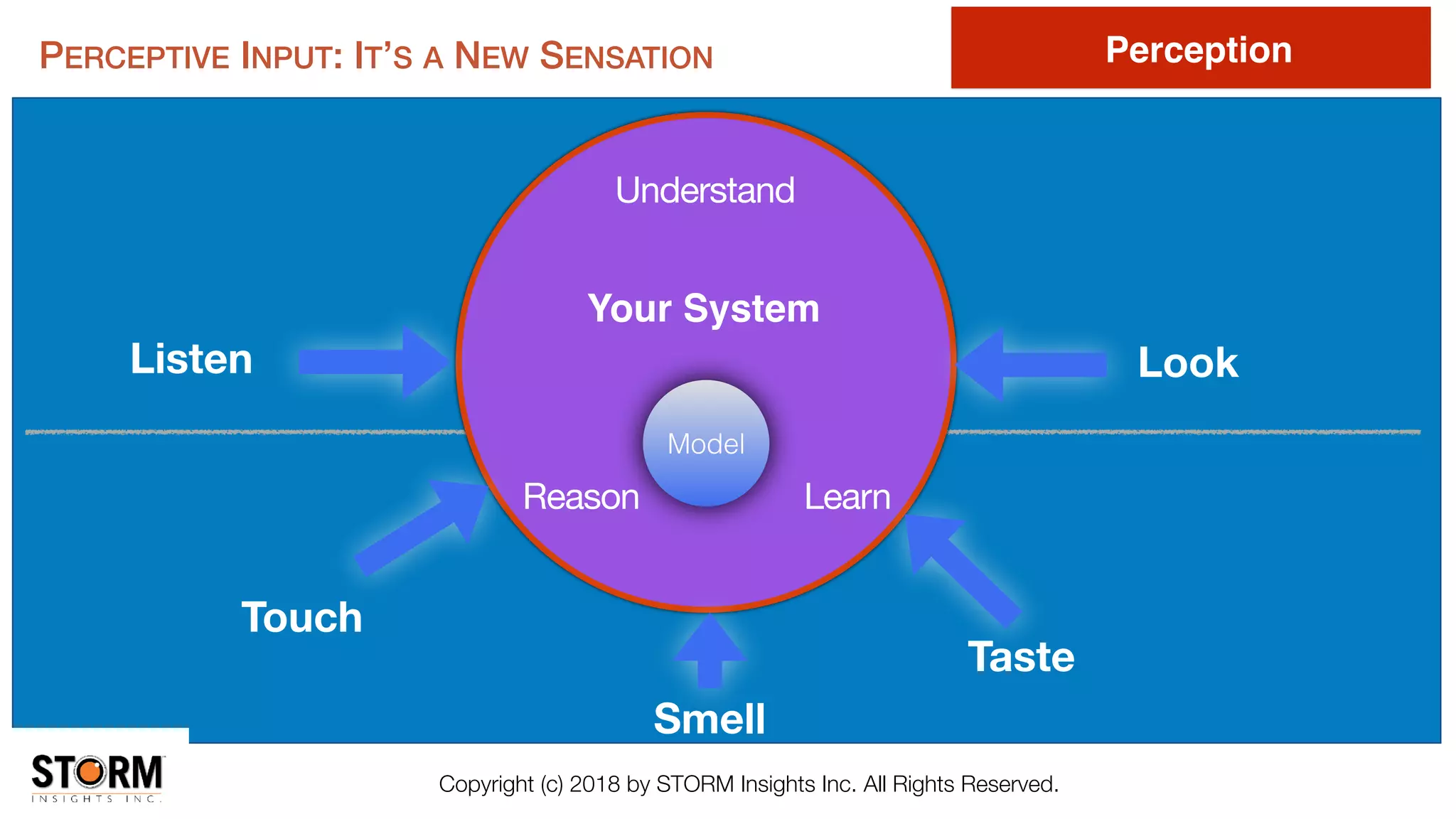 Listen Look
Touch
Smell
Taste
Your System
Learn
Model
Reason
Understand
PERCEPTIVE INPUT: IT’S A NEW SENSATION Perception
Copyright (c) 2018 by STORM Insights Inc. All Rights Reserved.
 