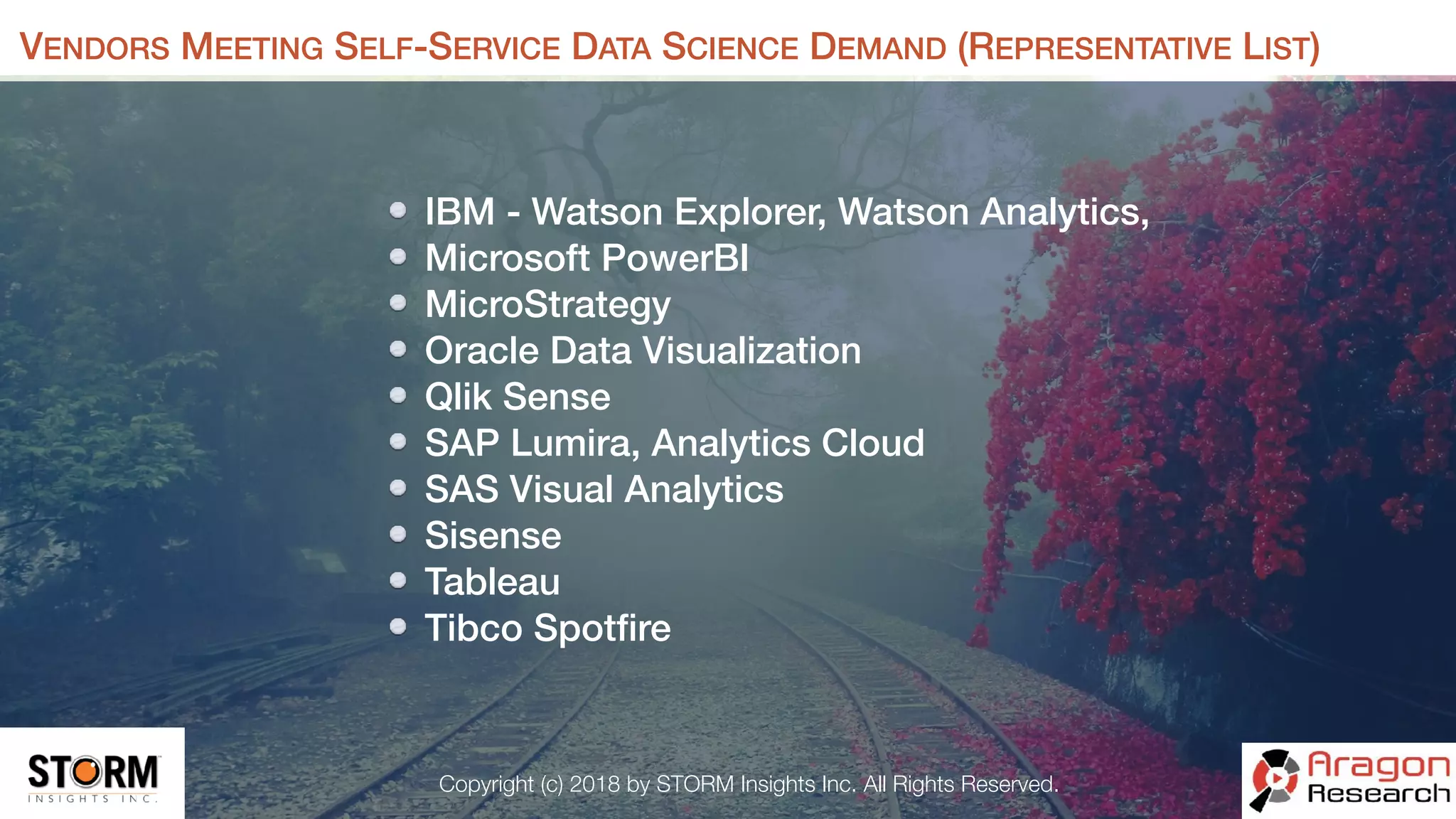 Copyright (c) 2018 by STORM Insights Inc. All Rights Reserved.
VENDORS MEETING SELF-SERVICE DATA SCIENCE DEMAND (REPRESENTATIVE LIST)
IBM - Watson Explorer, Watson Analytics,
Microsoft PowerBI
MicroStrategy
Oracle Data Visualization
Qlik Sense
SAP Lumira, Analytics Cloud
SAS Visual Analytics
Sisense
Tableau
Tibco Spotﬁre
 
