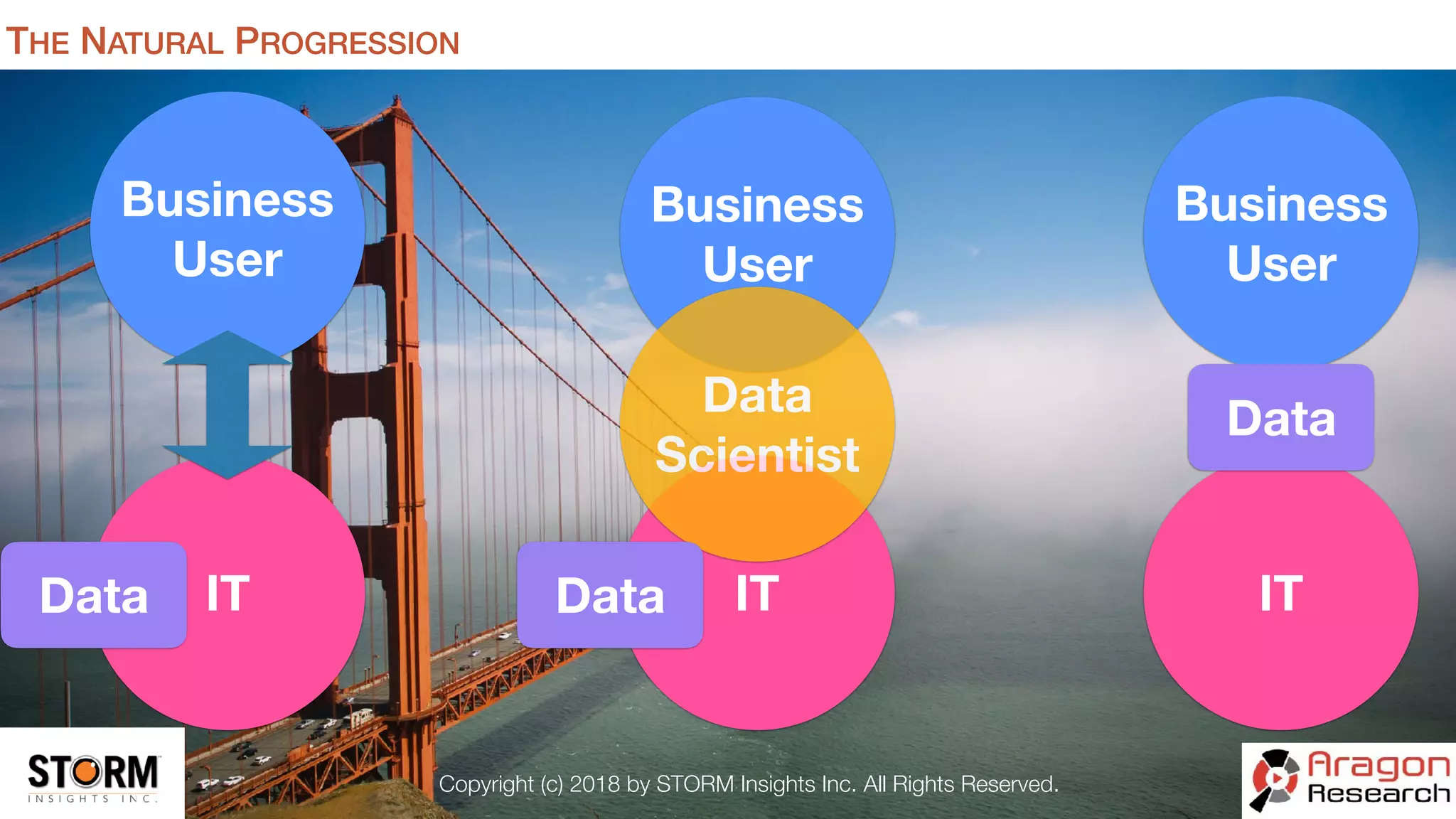 Copyright (c) 2018 by STORM Insights Inc. All Rights Reserved.
THE NATURAL PROGRESSION
Business
User
IT
Business
User
IT
Business
User
Data IT
Data
Scientist
Data
Data
 