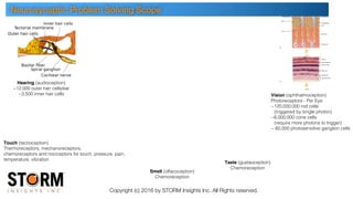 Copyright (c) 2016 by STORM Insights Inc. All Rights reserved.
Hearing (audioception)
~12,000 outer hair cells/ear
~3,500 inner hair cells Vision (ophthalmoception)
Photoreceptors - Per Eye
~120,000,000 rod cells
(triggered by single photon)
~6,000,000 cone cells
(require more photons to trigger)
~ 60,000 photosensitive ganglion cells
Touch (tactioception)
Thermoreceptors, mechanoreceptors,
chemoreceptors and nociceptors for touch, pressure, pain,
temperature, vibration
Smell (olfacoception)
Chemoreception
Taste (gustaoception)
Chemoreception
Neurosynaptic Problem Solving Scope
 