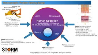 Copyright (c) 2016 by STORM Insights Inc. All Rights reserved.
Hearing (audioception)
~12,000 outer hair cells/ear
~3,500 inner hair cells Vision (ophthalmoception)
Photoreceptors - Per Eye
~120,000,000 rod cells
(triggered by single photon)
~6,000,000 cone cells
(require more photons to trigger)
~ 60,000 photosensitive ganglion cells
Touch (tactioception)
Thermoreceptors, mechanoreceptors,
chemoreceptors and nociceptors for touch, pressure, pain,
temperature, vibration
Smell (olfacoception)
Chemoreception
Taste (gustaoception)
Chemoreception
Human Cognition
~100,000,000,000 (100B) Neurons
~100-500,000,000,000,000 (100-500T) Synapses
Neurosynaptic Problem Solving Scope
Learn
ModelReason
Understand
Plan
 