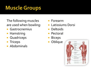 Muscle GroupsThe following muscles are used when bowling:GastrocnemiusHamstringQuadricepsTricepsAbdominalsForearmLatissiums DorsiDeltoidsPectoralBicepsOblique