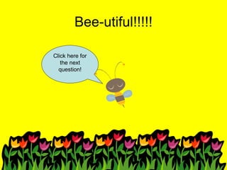 Bee-utiful!!!!! Click here for the next question! 