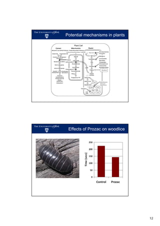 Potential mechanisms in plants

Brain et al., 2008

Effects of Prozac on woodlice

12

 
