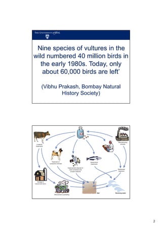 Nine species of vultures in the
wild numbered 40 million birds in
the early 1980s. Today, only
about 60,000 birds are left’
‘

(Vibhu Prakash, Bombay Natural
History Society)

Boxall et al (2003) ES&T

2

 