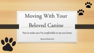 Moving With Your
Beloved Canine
How to make sure I’m comfortable in my new home.
Boxcar Rose Hunt
 