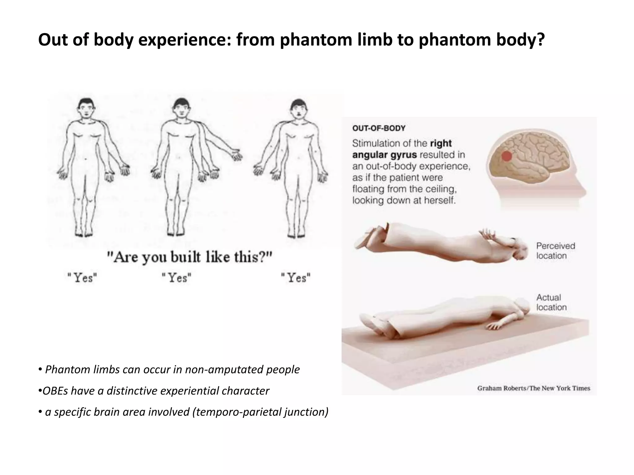 Out of body experience: from phantom limb to phantom body?




• Phantom limbs can occur in non-amputated people
•OBEs have a distinctive experiential character
• a specific brain area involved (temporo-parietal junction)
 
