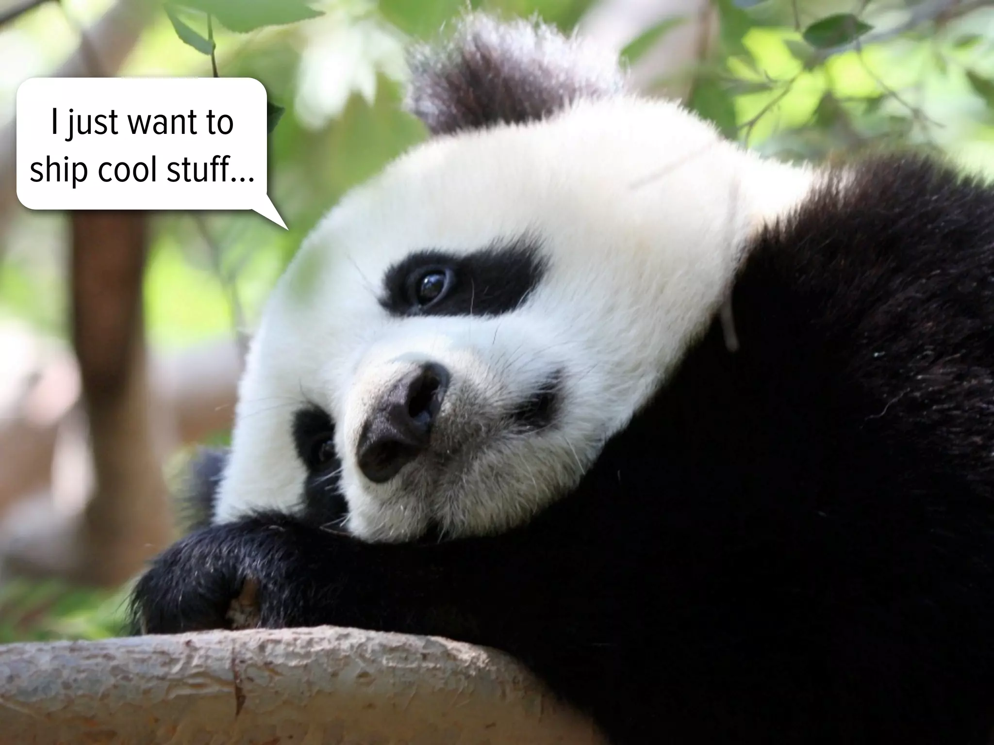 I just want to
ship cool stuﬀ...
 