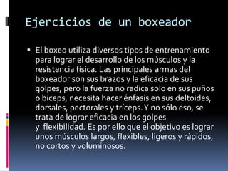 Ejercicios de un boxeador 
 El boxeo utiliza diversos tipos de entrenamiento 
para lograr el desarrollo de los músculos y la 
resistencia física. Las principales armas del 
boxeador son sus brazos y la eficacia de sus 
golpes, pero la fuerza no radica solo en sus puños 
o bíceps, necesita hacer énfasis en sus deltoides, 
dorsales, pectorales y tríceps. Y no sólo eso, se 
trata de lograr eficacia en los golpes 
y flexibilidad. Es por ello que el objetivo es lograr 
unos músculos largos, flexibles, ligeros y rápidos, 
no cortos y voluminosos. 
 