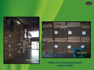 Pallets of contaminated boxes packed tightly