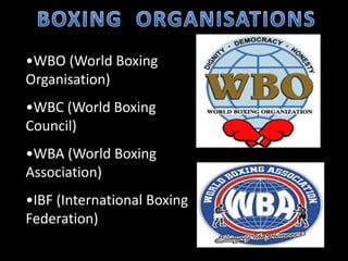 •WBO (World Boxing
Organisation)
•WBC (World Boxing
Council)
•WBA (World Boxing
Association)
•IBF (International Boxing
Federation)
 
